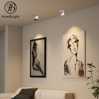 Commercial Aluminum 12W Adjustable LED Downlight