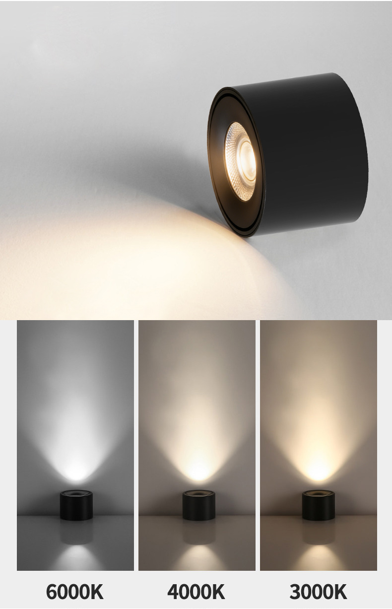 Surface Mounted Downlight