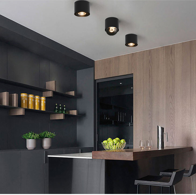 Surface Mounted Downlight