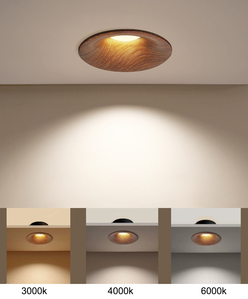 Frameless Embedded Downlight