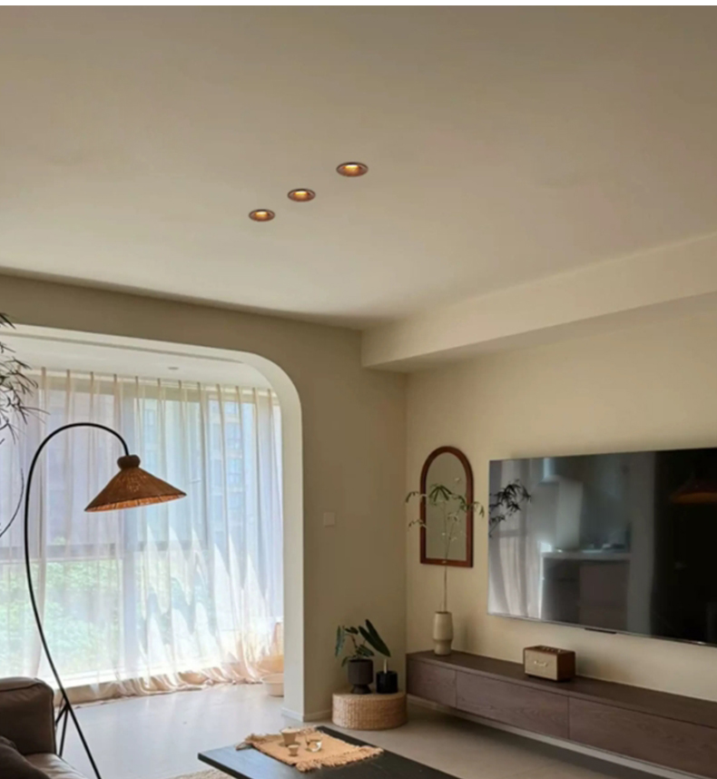 Frameless Embedded Downlight