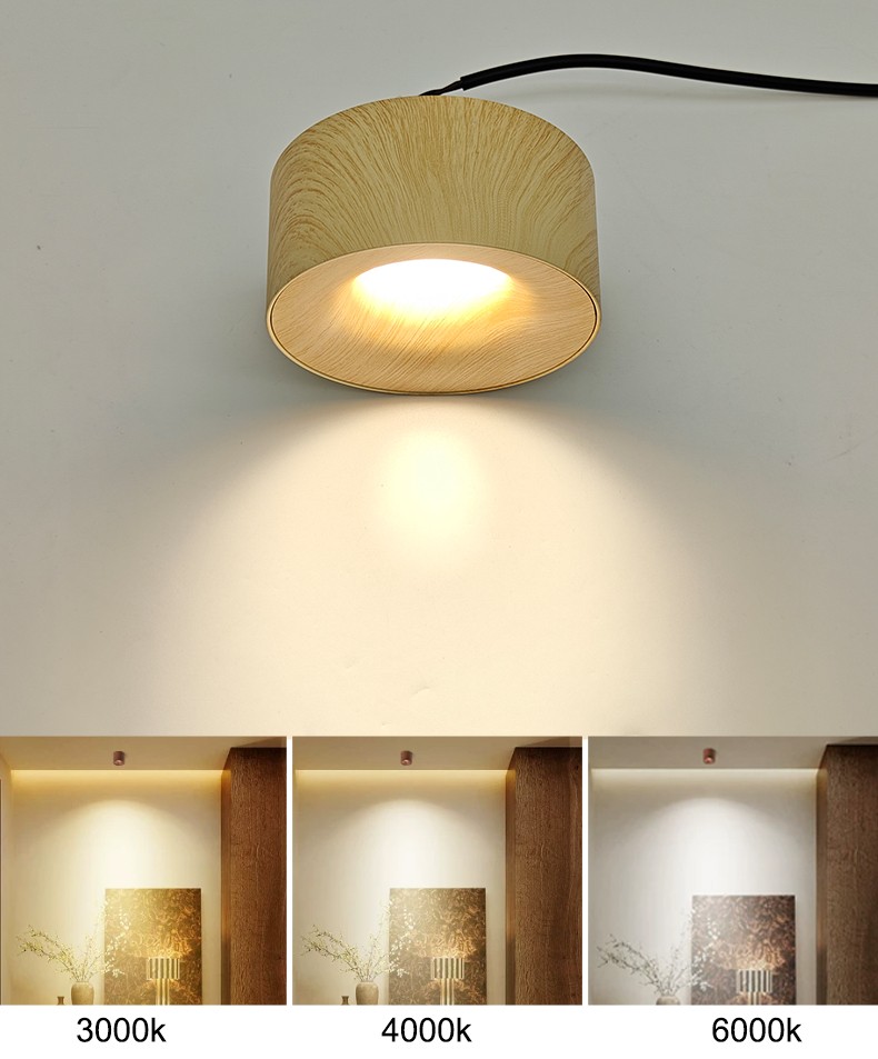 Aluminum Curved Downlight
