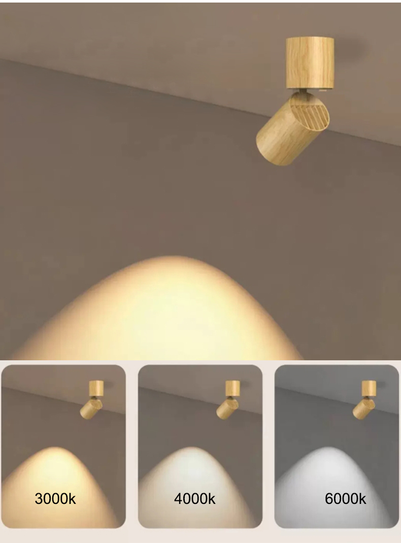 LED Downlight