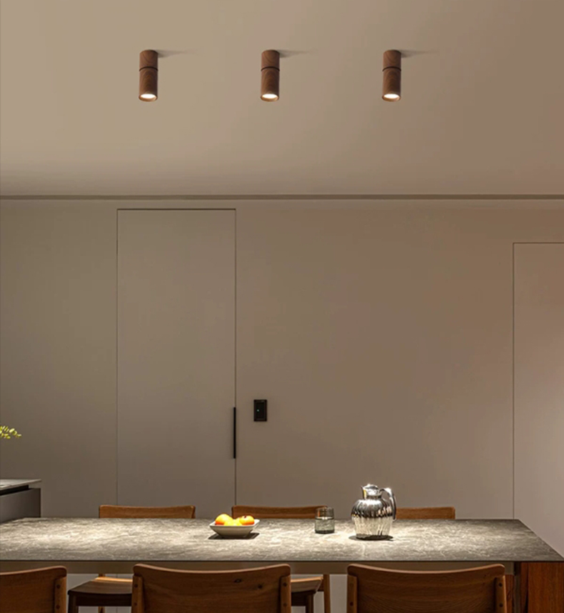 LED Downlight
