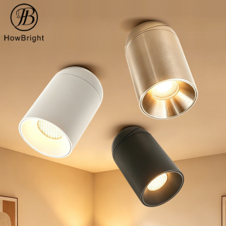 Aluminum Rotatable LED Surface Mounted Celing Downlight