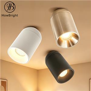 Aluminum Rotatable LED Surface Mounted Celing Downlight