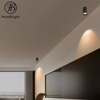 Aluminum Rotatable LED Surface Mounted Celing Downlight