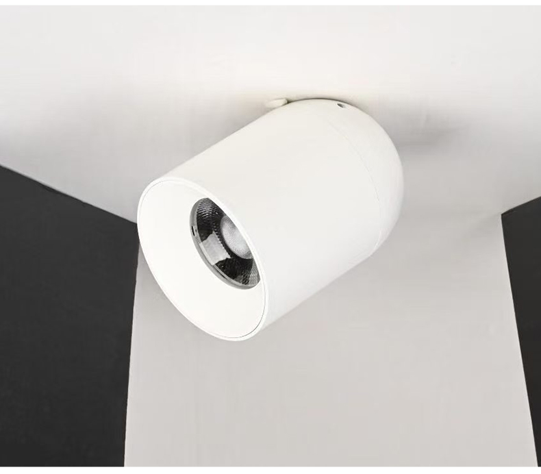 LED Surface Mounted Downlight