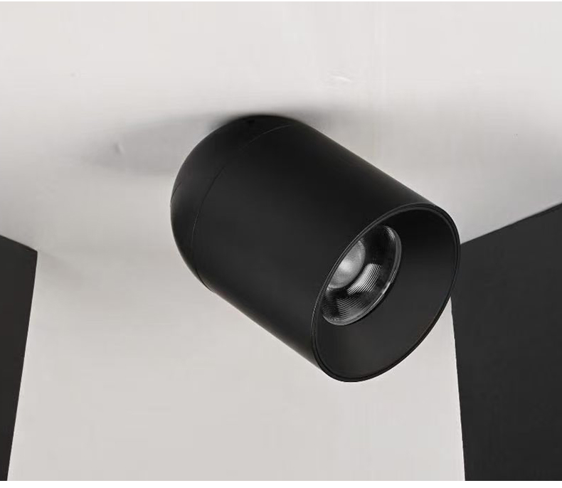 LED Downlight