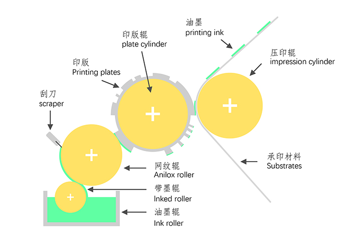A Importância do Rolo Anilox Cerâmico para a Estabilidade da Qualidade da Impressão Flexplate