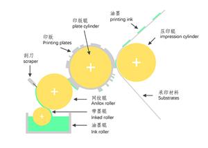 L'importance du rouleau Anilox en céramique pour la stabilité de la qualité de l'impression Flexplate