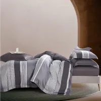 Ensemble de couette de luxe et respirant avec rayure
