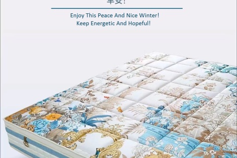 Matelas en mousse et à ressorts --- MONAI GARDEN