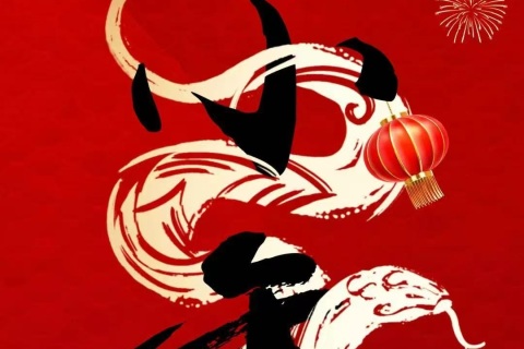 Daphné vous souhaite une bonne année