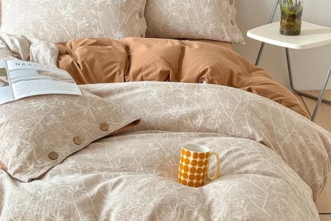 Bienvenue 2025 et bienvenue à Daphné