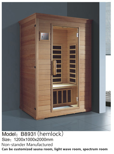 sauna room 2 persons