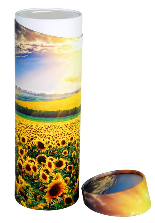cardboard tube with lid