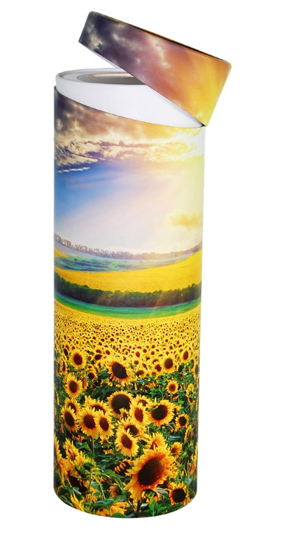 paper tubes near me