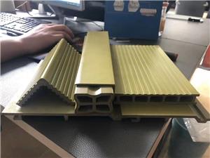 Plastic Pvc Wpc Wall Cladding Extrusion Mould