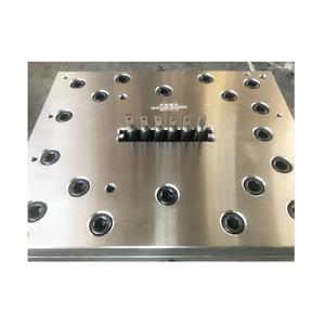 Plastic Pe Wpc Hollow Decking Extrusion Mould