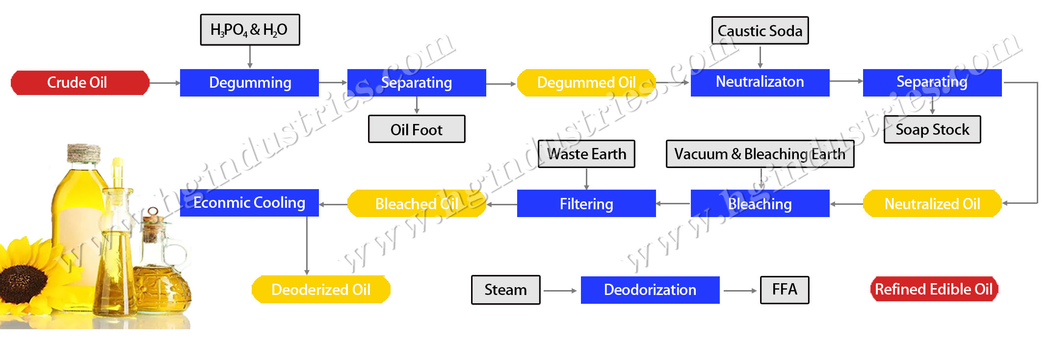 edible oil refinery plant