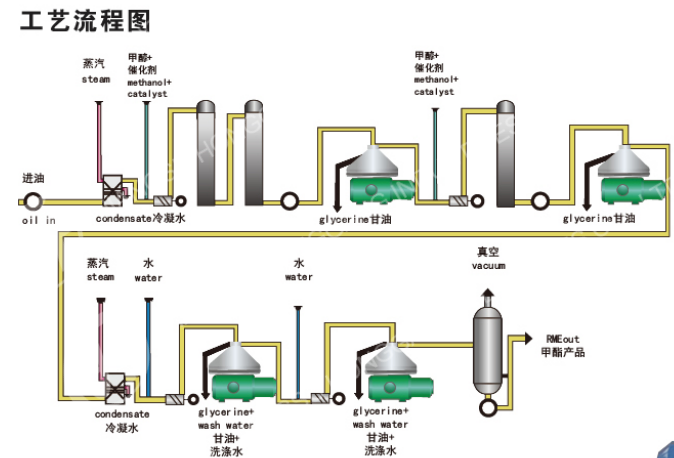 Biodiesel oil separator