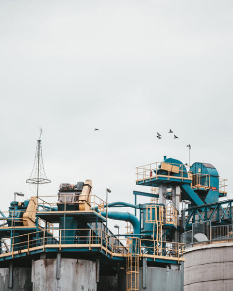 Oil Press Machine: Key Equipment for Optimizing Plant Oil Production