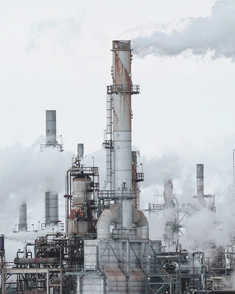 From Raw Materials to Superior Products: Refining and Enhancing Plant Oil