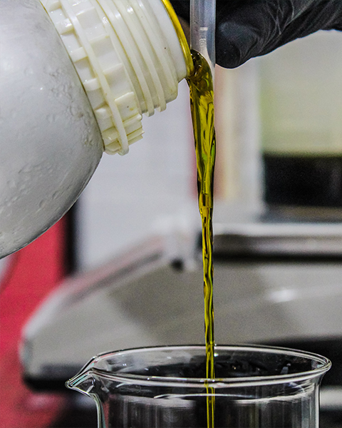 Steam Cooker : Temperature Magic in Oil Pressing