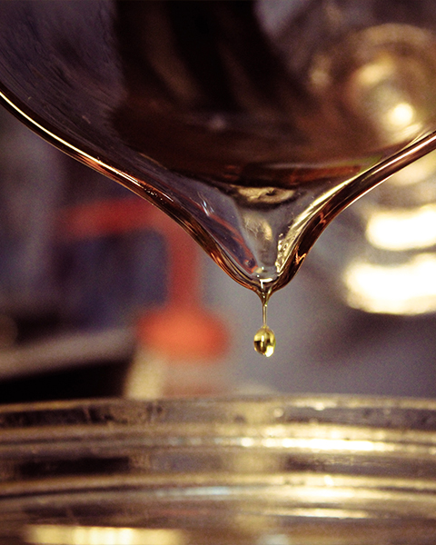 Screw oil press: the core equipment of oil extraction process