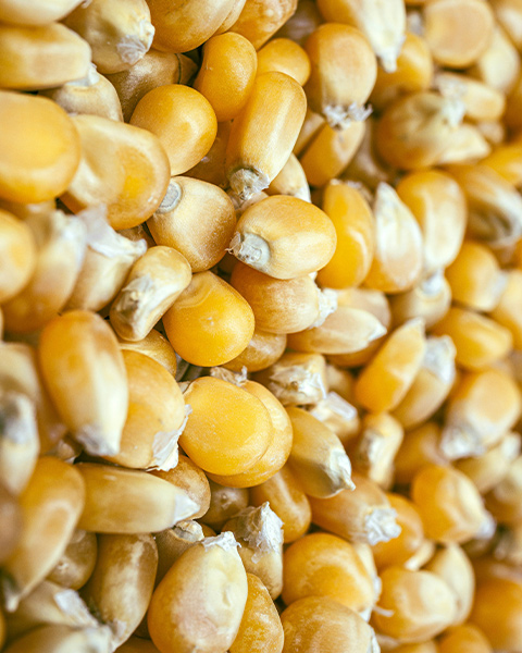 Analyze the structure and working principle of square plansifter