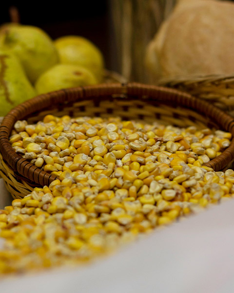 In-depth comparison of square plansifter vs round screen