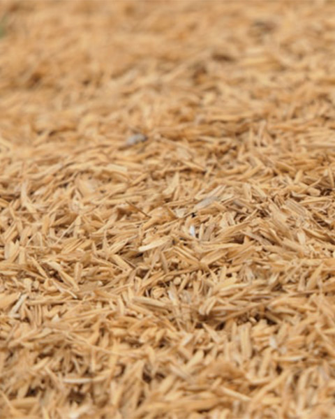 Purifier in grain grinding