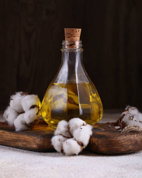 Why does cottonseed oil have to be refined before it can be consumed?