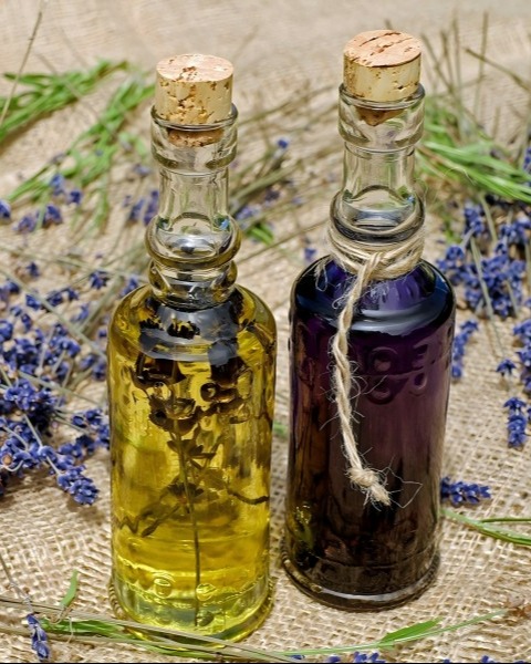 Cleaning and hygiene management of cold press oil extractor: key to ensuring food safety