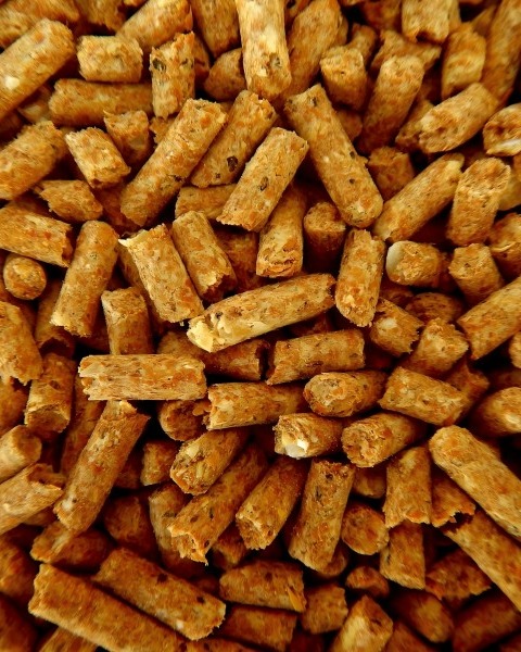 Complete Set Feed Pellet Production Line For Fish: Comprehensive Brochure on Animal Feed Pellets