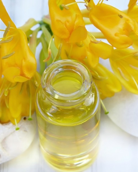 Environmental protection and sustainability of oil extraction machine: Towards a new era of green energy