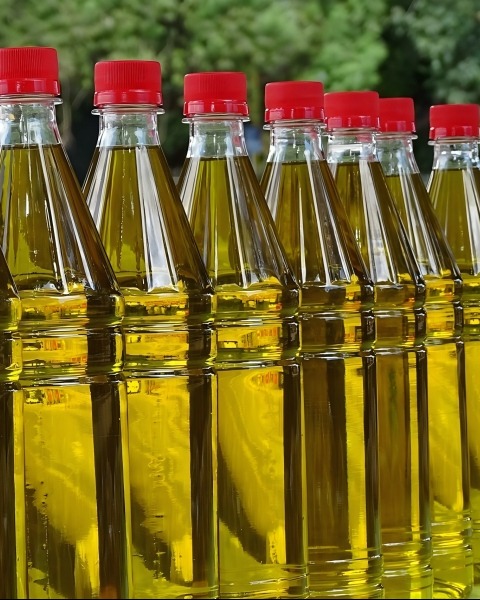 Oil press machine: From seeds to gold, exploring the harmony between machinery and nature