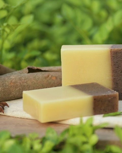 Steps to Maintain and how to Clean Soap Making Equipment