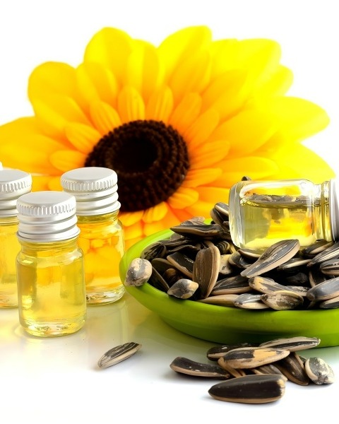 sunflower oil milling machine: revealing its business opportunities and potential