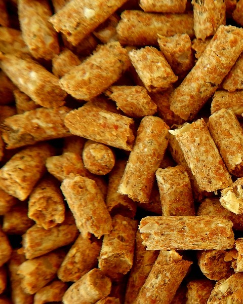 Efficient Cooling Solutions with LNKSL Contraflow Cooler and Dryer