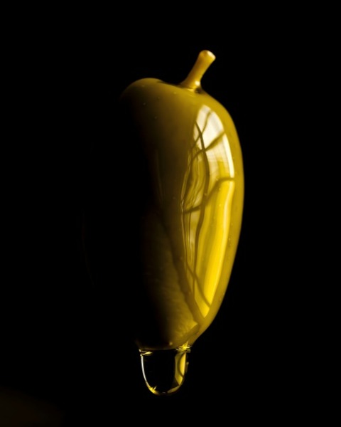 Efficient Biodiesel Oil Separator Lets You Produce More and More Environmentally Friendly Biodiesel