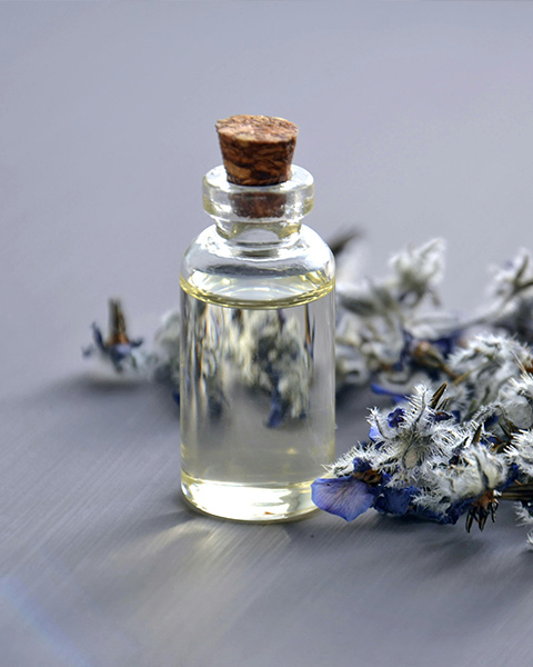 Boost Herbal Extract Purity with SOHO HONRY’s Vegetable Extraction Separator