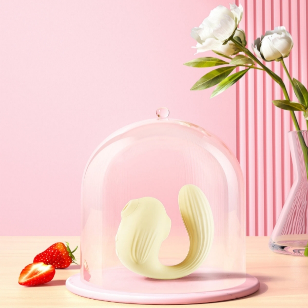 Consultation on Adult Products Industry