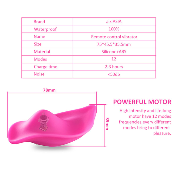 Underwear Vibrator