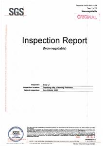 SGS inspection report 1