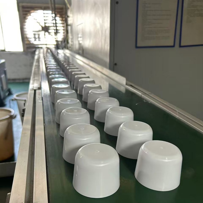 Pahare de plastic zilnice, matriță de injecție, capac de sticlă termos personalizat