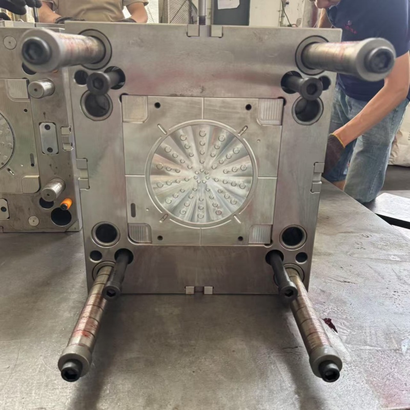 Moule pour rampe de douche supérieure fabriqué en usine par machine à injection