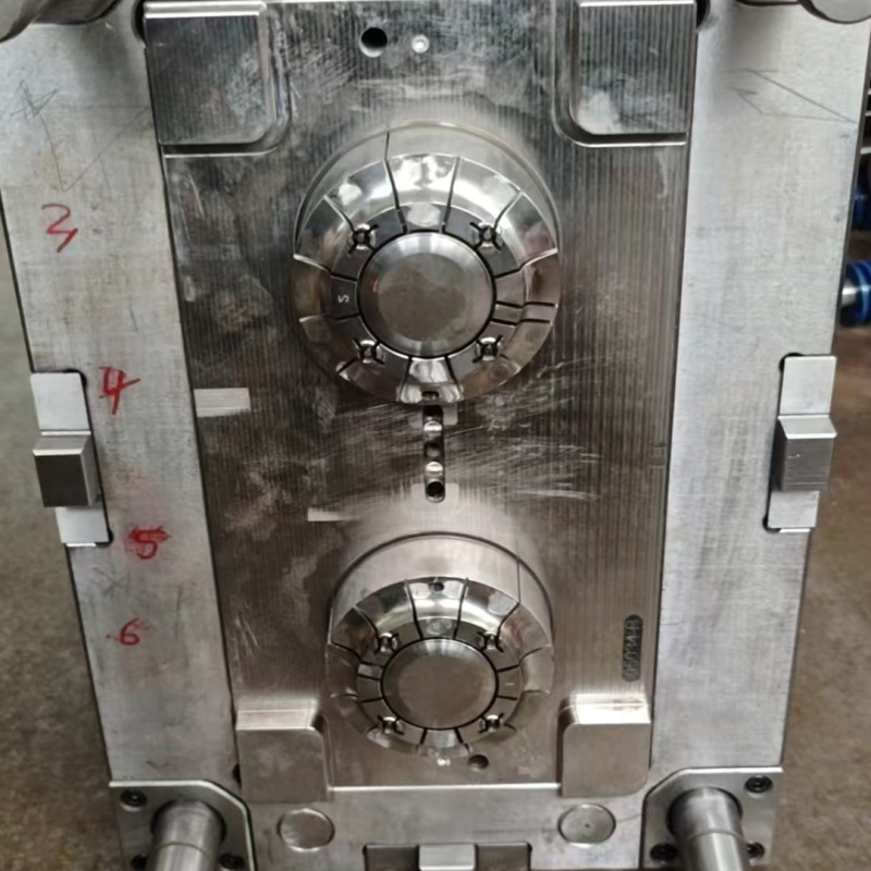 Two Cavity Top Shower Plastic Mould plastic injection moulding technology