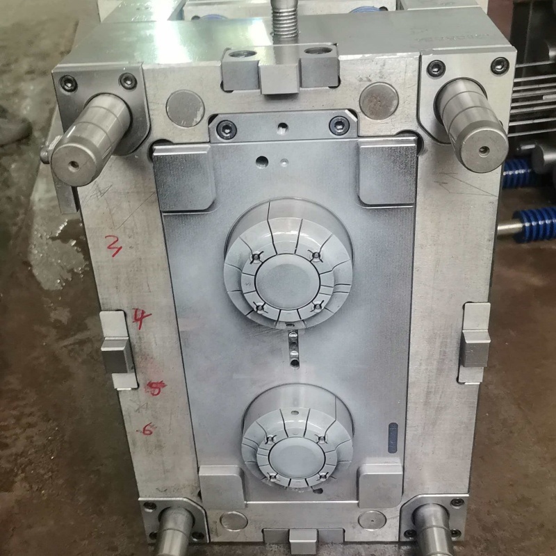 Two Cavity Top Shower Plastic Mould plastic injection moulding technology